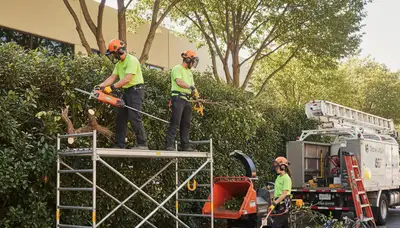 Aurora, CO shrub removal by Arbor Tree Care for clean, professional tree service work
