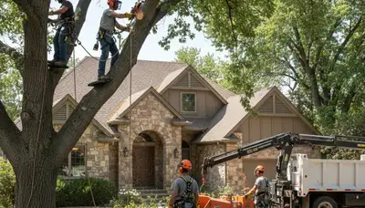 Tree service crew in Aurora, CO providing professional tree removal and trimming services