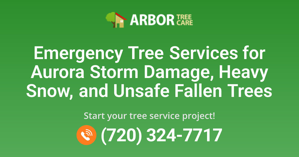 Aurora, CO Emergency Tree Services | Arbor Tree Care
